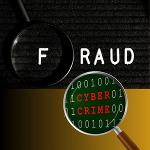 If You’re Human, You’re Vulnerable: Understanding the Reality of Cyber Fraud